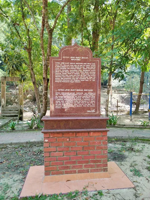 Bukit Bakar Recreational Forest Picture 8