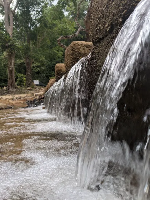 Bukit Bakar Recreational Forest Picture 5