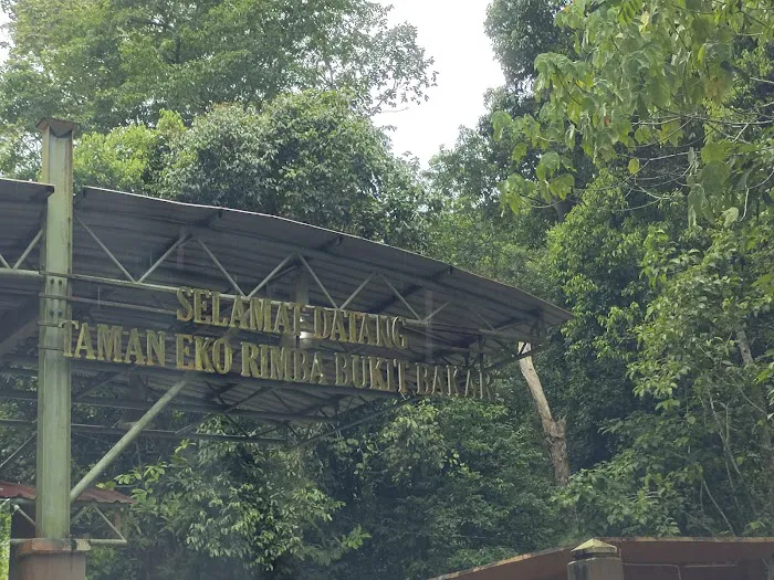Bukit Bakar Recreational Forest Picture 10