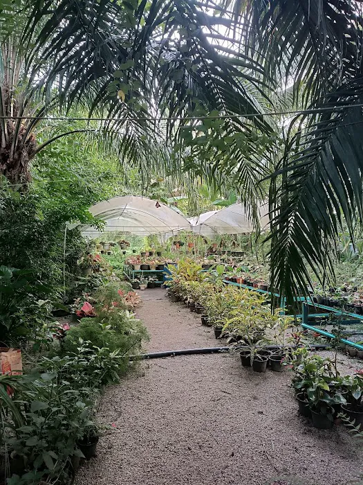 Namia garden Picture 1