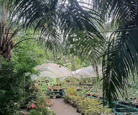 Namia garden