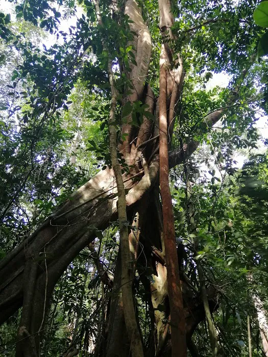 Kem Wawasan, UiTM Caw. Kelantan Picture 1