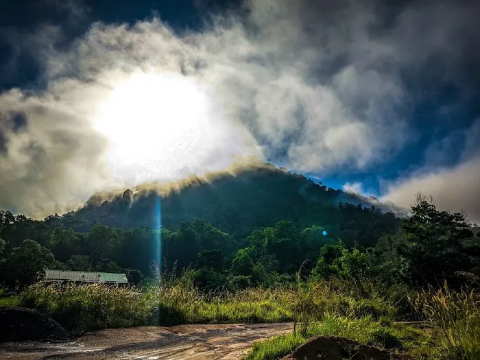 PUNCAK BUKIT KEPANG Picture 7