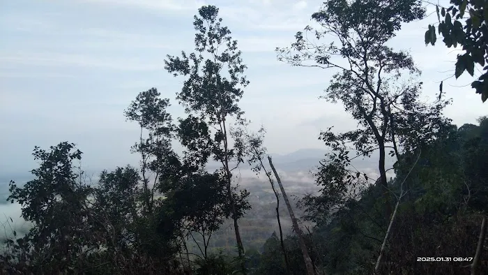 PUNCAK BUKIT KEPANG Picture 3