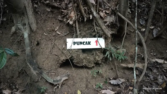 PUNCAK BUKIT KEPANG Picture 5