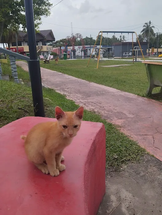 Taman Awam Kemahkotaan Picture 1
