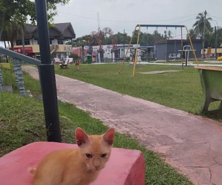 Taman Awam Kemahkotaan