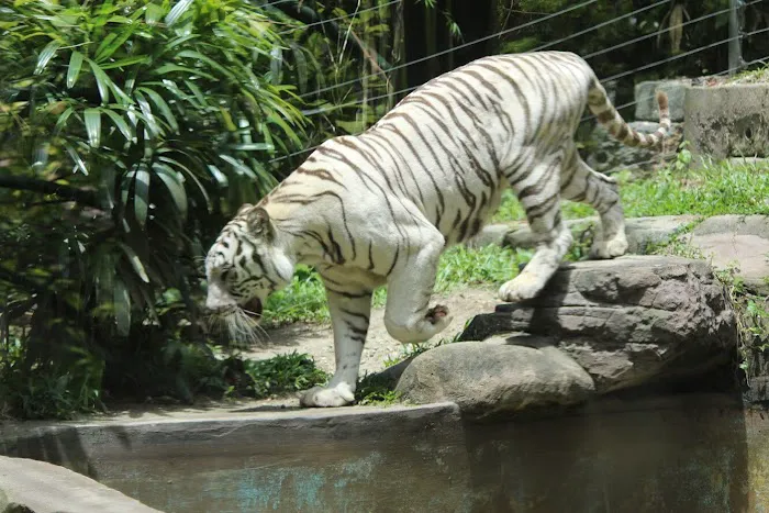 Sunway Lagoon Theme Park Picture 6