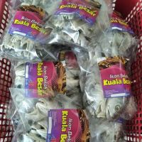 my kp kuala besar ico