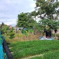 Kebun Pak Said ico