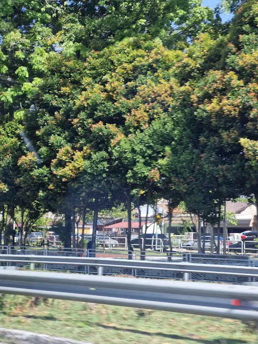 SS9 Park Picture 2