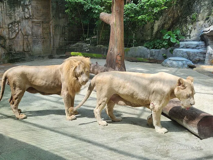 Sunway Lagoon Picture 6