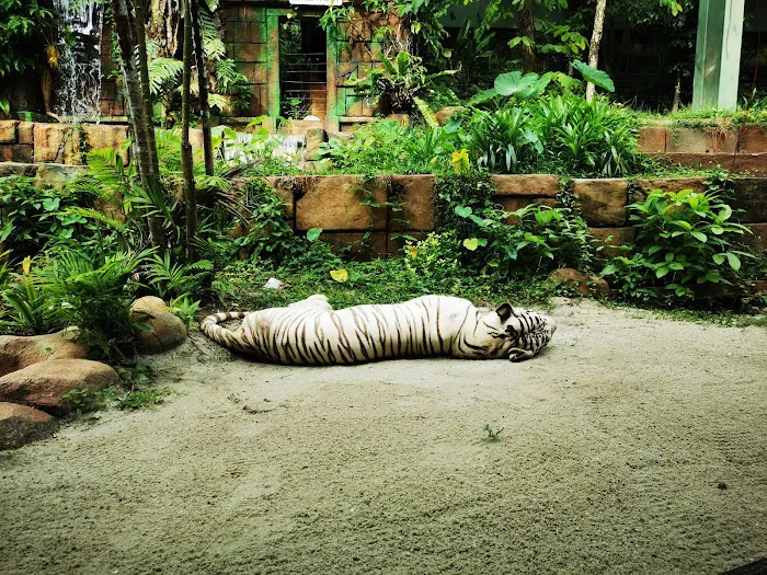 Sunway Lagoon Picture 8