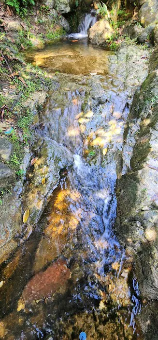 Bukit Kerinchi Creek Picture 1