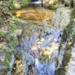 Bukit Kerinchi Creek