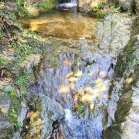 Bukit Kerinchi Creek ico