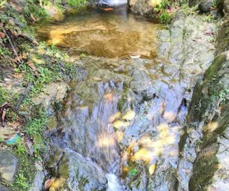 Bukit Kerinchi Creek
