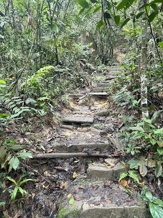 Bukit Kerinchi Creek Picture 8