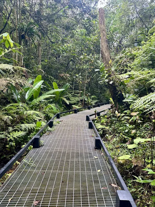 Bukit Kerinchi Creek Picture 5