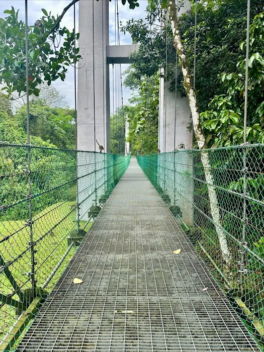 Bukit Kerinchi Creek Picture 6