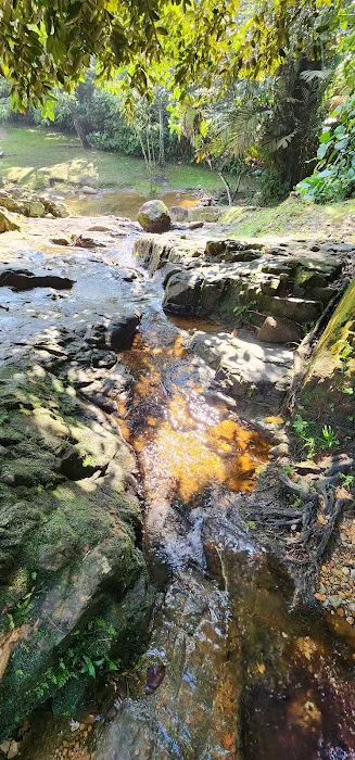 Bukit Kerinchi Creek Picture 4