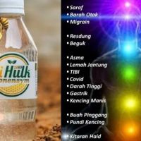 SiHulk Warehouse Ajil,Terengganu ico