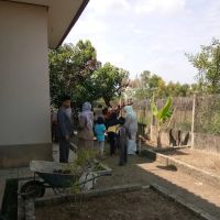 my famili gethering ico