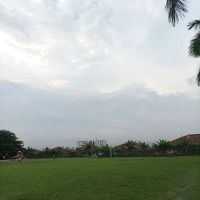 Sports field ico