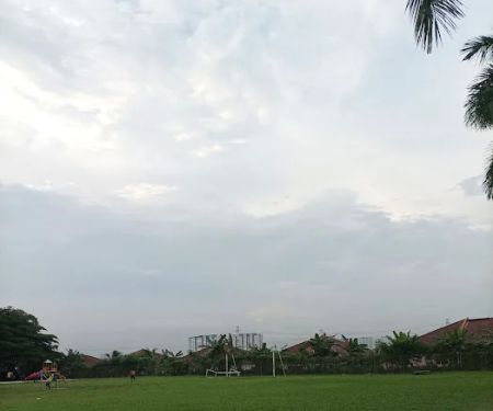 Sports field