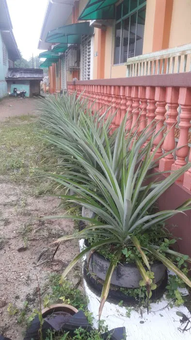 Masjid Assobirin, Mukim Dusun Rendah, Ketereh, Kelantan Picture 6