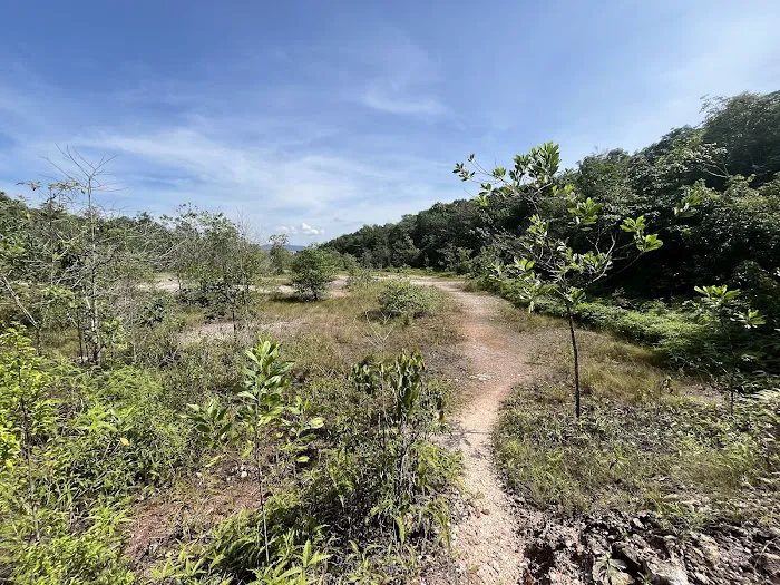 Bukit Kepayang Hiking Trail Picture 1