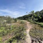 Bukit Kepayang Hiking Trail