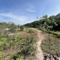 Bukit Kepayang Hiking Trail ico