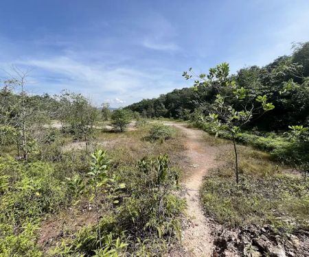 Bukit Kepayang Hiking Trail
