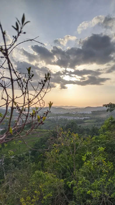Bukit Kepayang Hiking Trail Picture 5