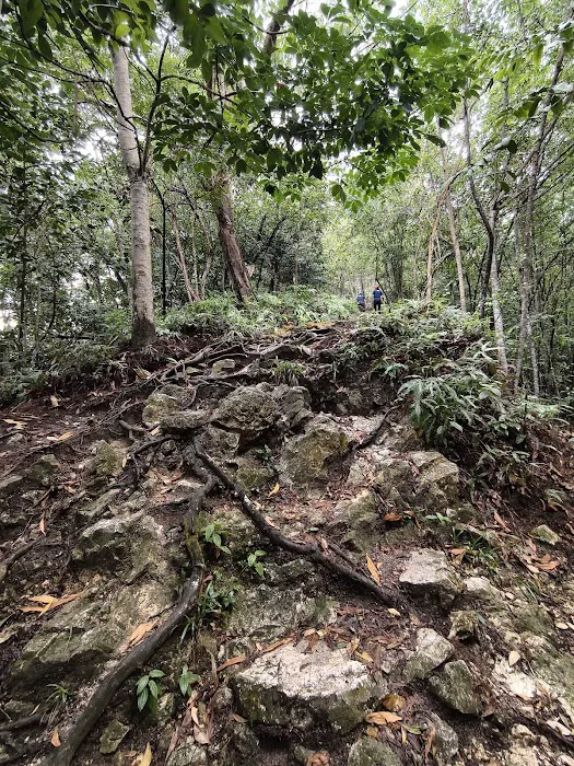 Bukit Kepayang Hiking Trail Picture 9