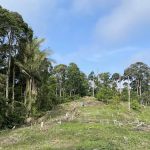 Bukit Kristal