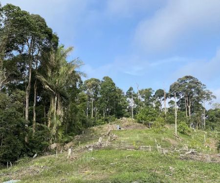 Bukit Kristal