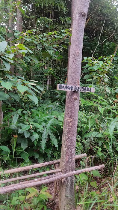 Bukit Kristal Picture 7