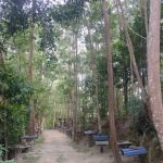 Bukit Simpang