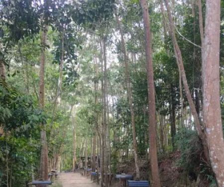 Bukit Simpang
