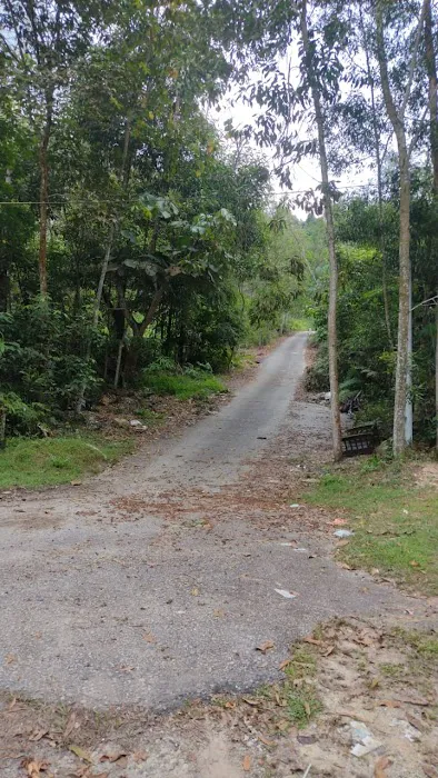 Bukit Simpang Picture 5