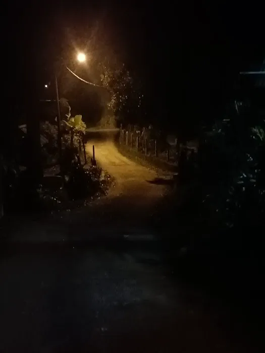 Kampung pelegong ulu Picture 8