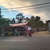 Ayam Segar Buloh Poh ico