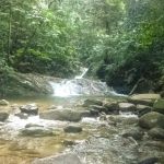 Gunung Berembun Trailhead