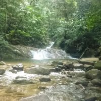 Gunung Berembun Trailhead ico
