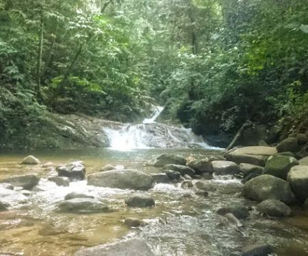 Gunung Berembun Trailhead