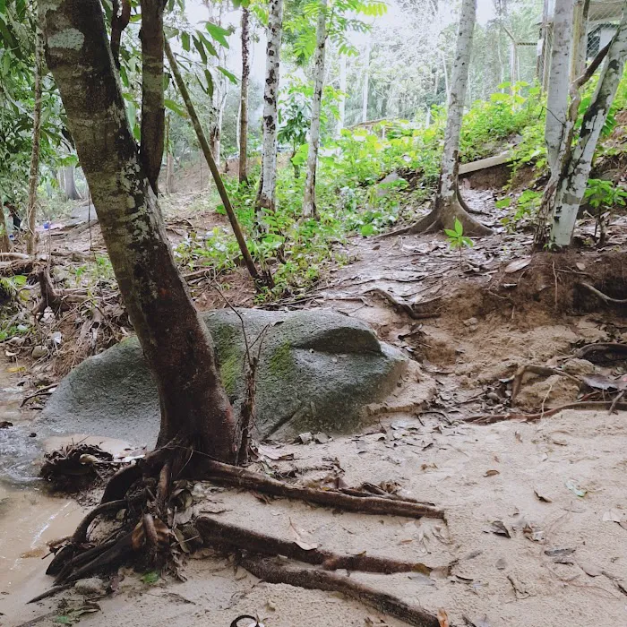 Gunung Berembun Trailhead Picture 7