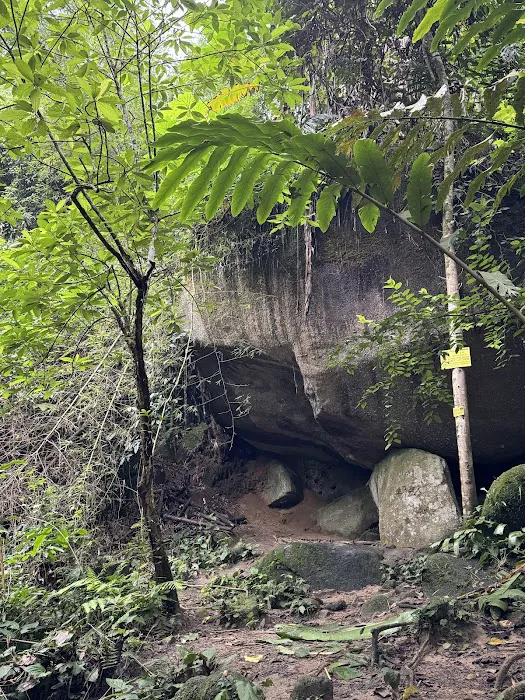Gunung Berembun Trailhead Picture 9