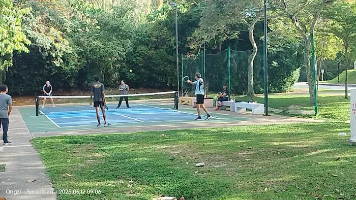 Pickle Ball @ City Park Picture 2